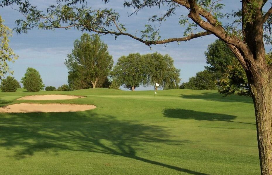 Tree on golf course with bunkers in distance